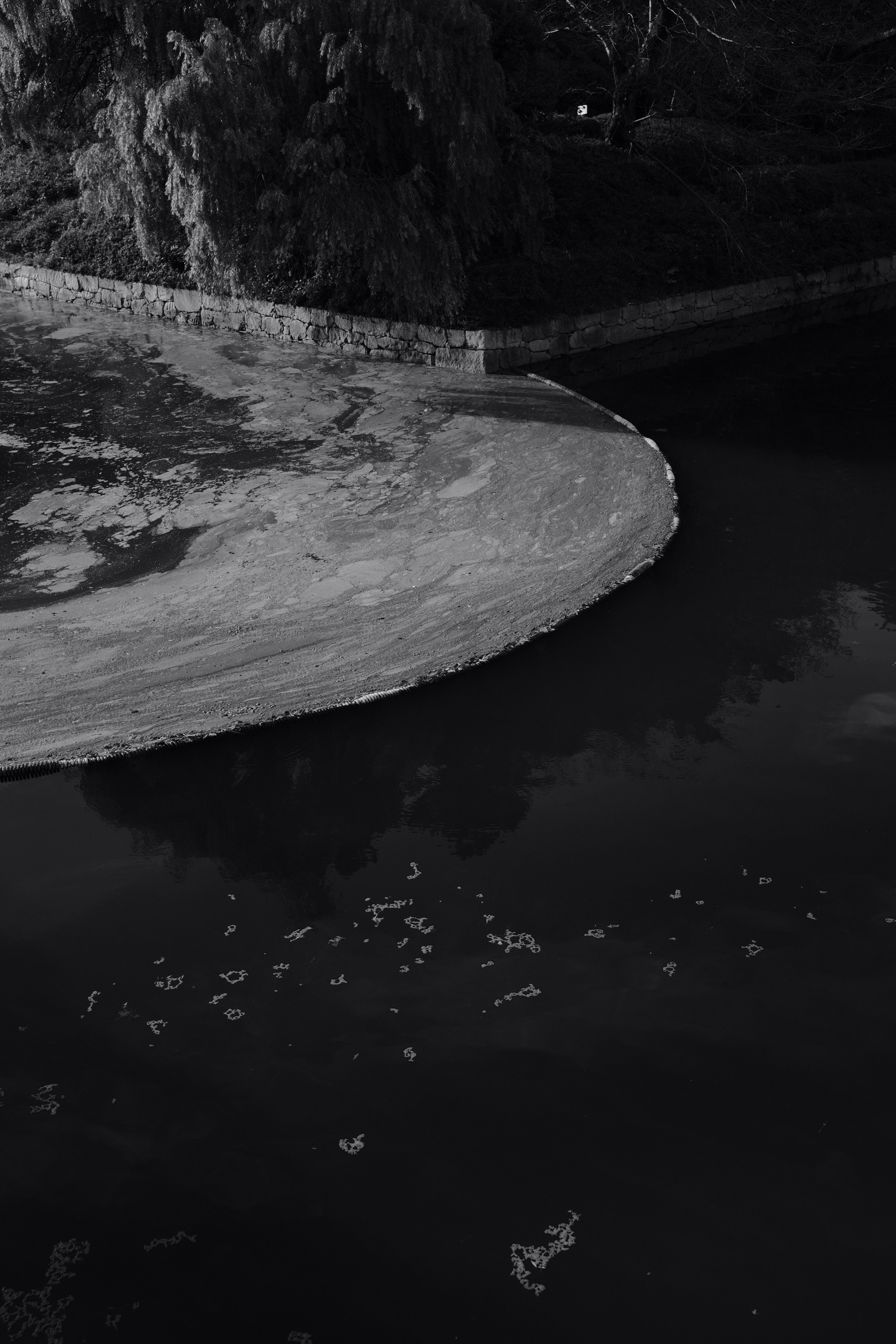 grayscale photo of body of water